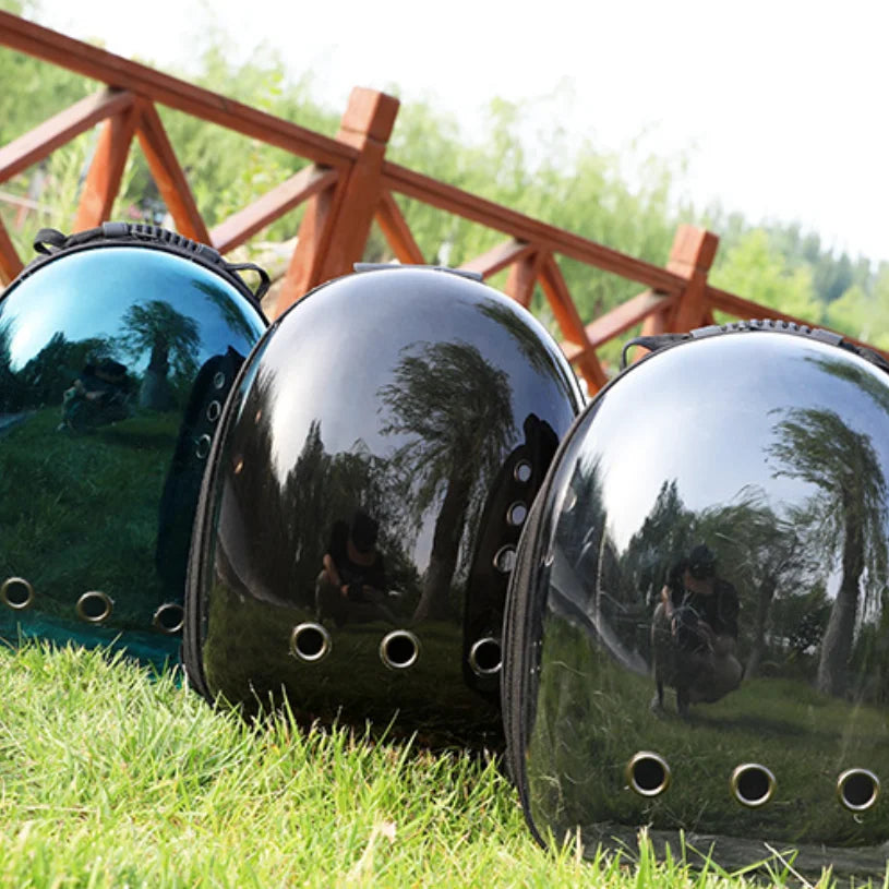 Maleta de Viaje Pro explora el mundo junto a tu mejor amigo